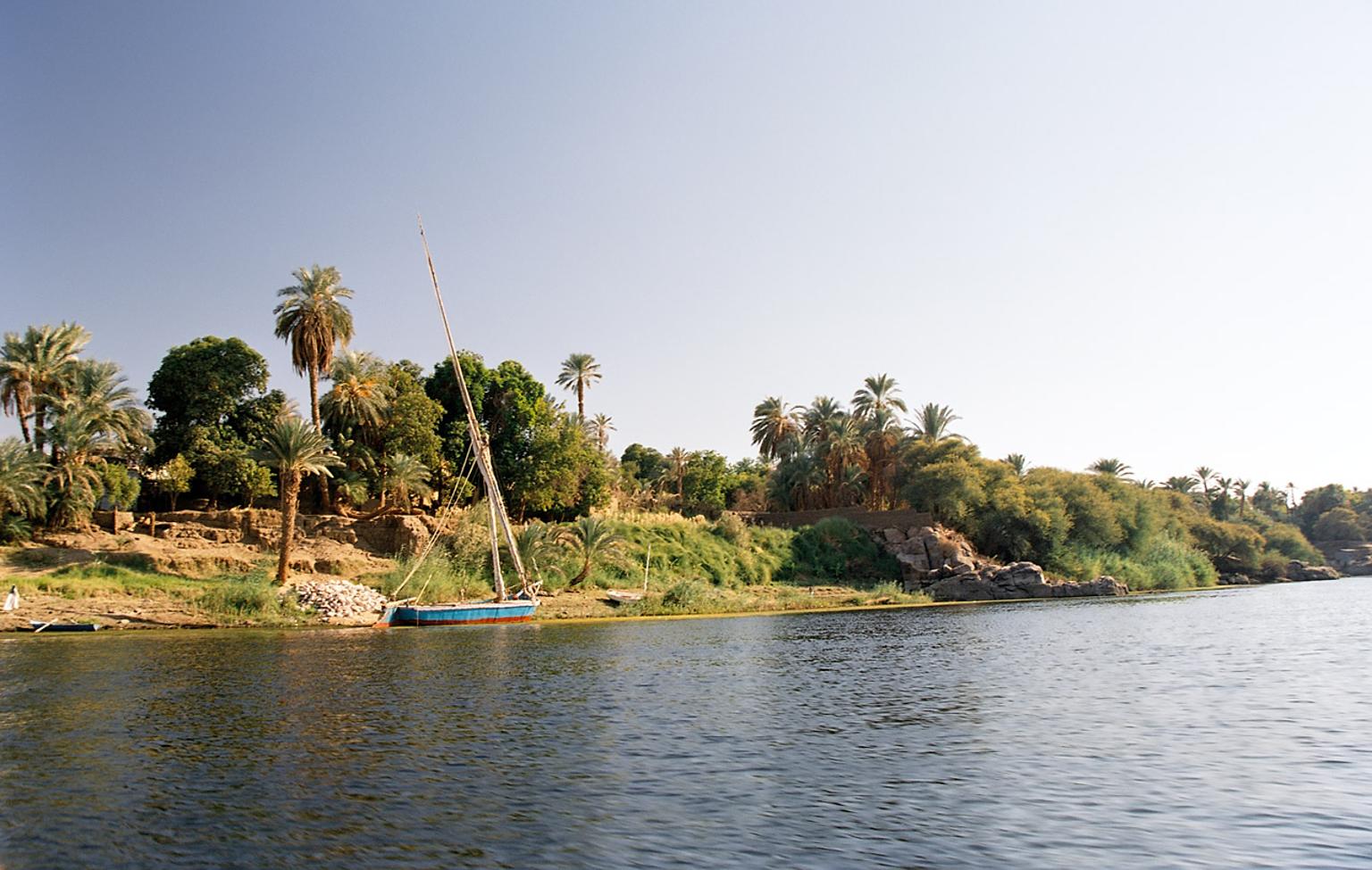 Elephantine Island and the Botanical Garden