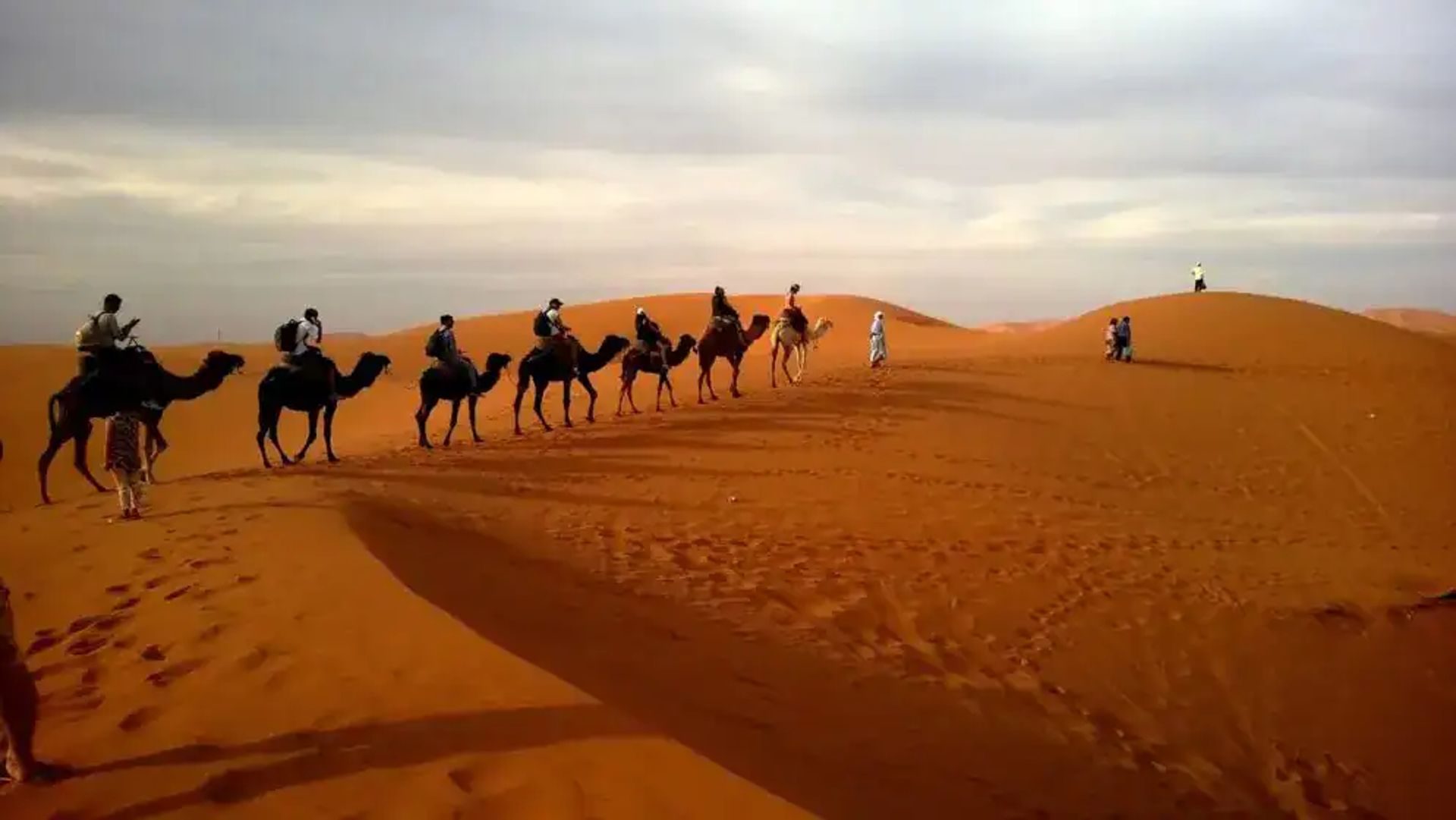 The Magic of Egypt's Desert Safari Adventures