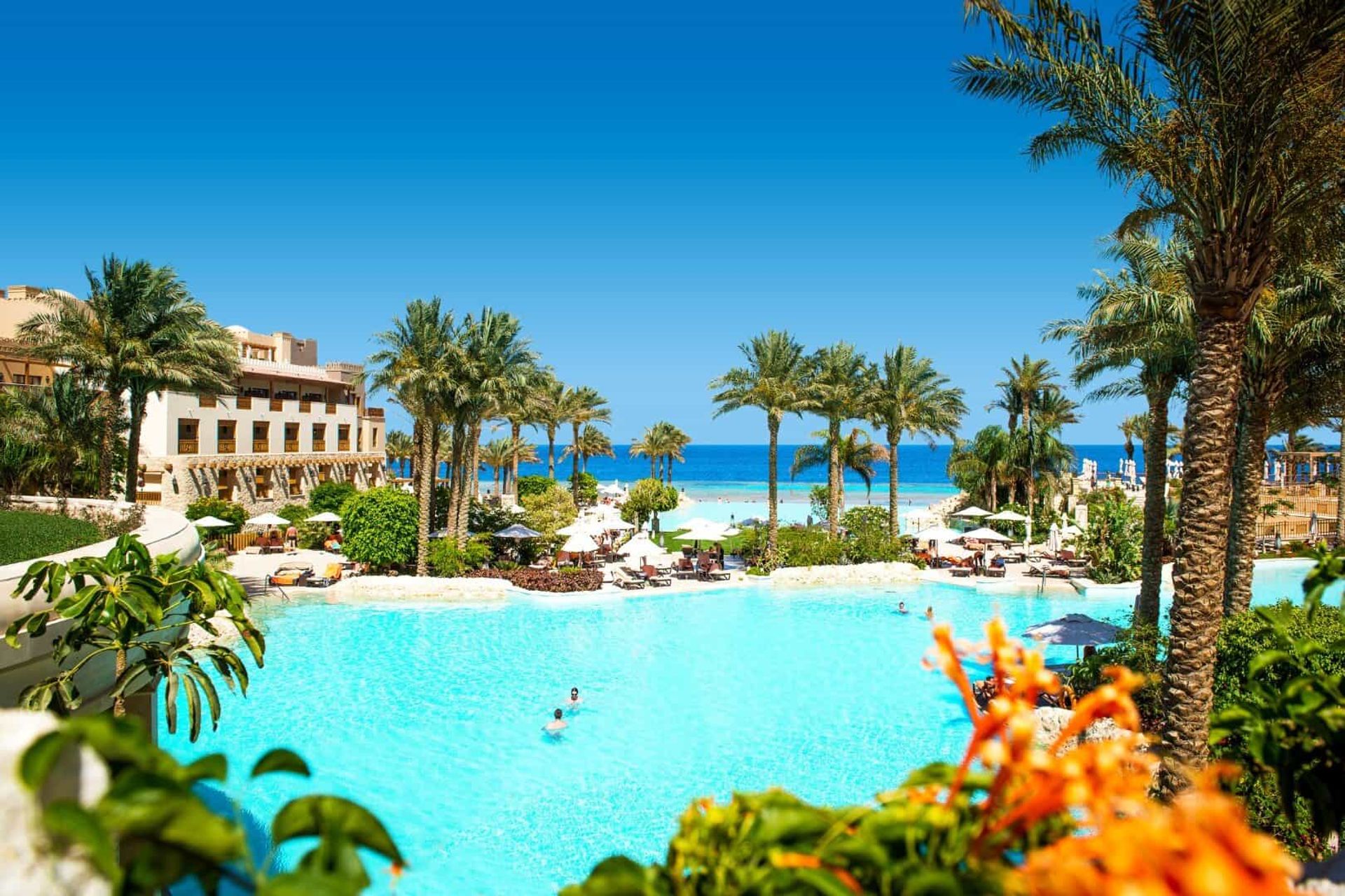 8 Day Cairo, Nile Cruise and Hurghada Standard Tour (Flights Included)