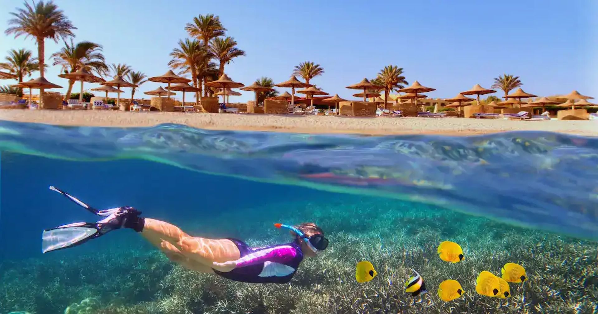 Wadi El Gemal National Park: a visitor's guide