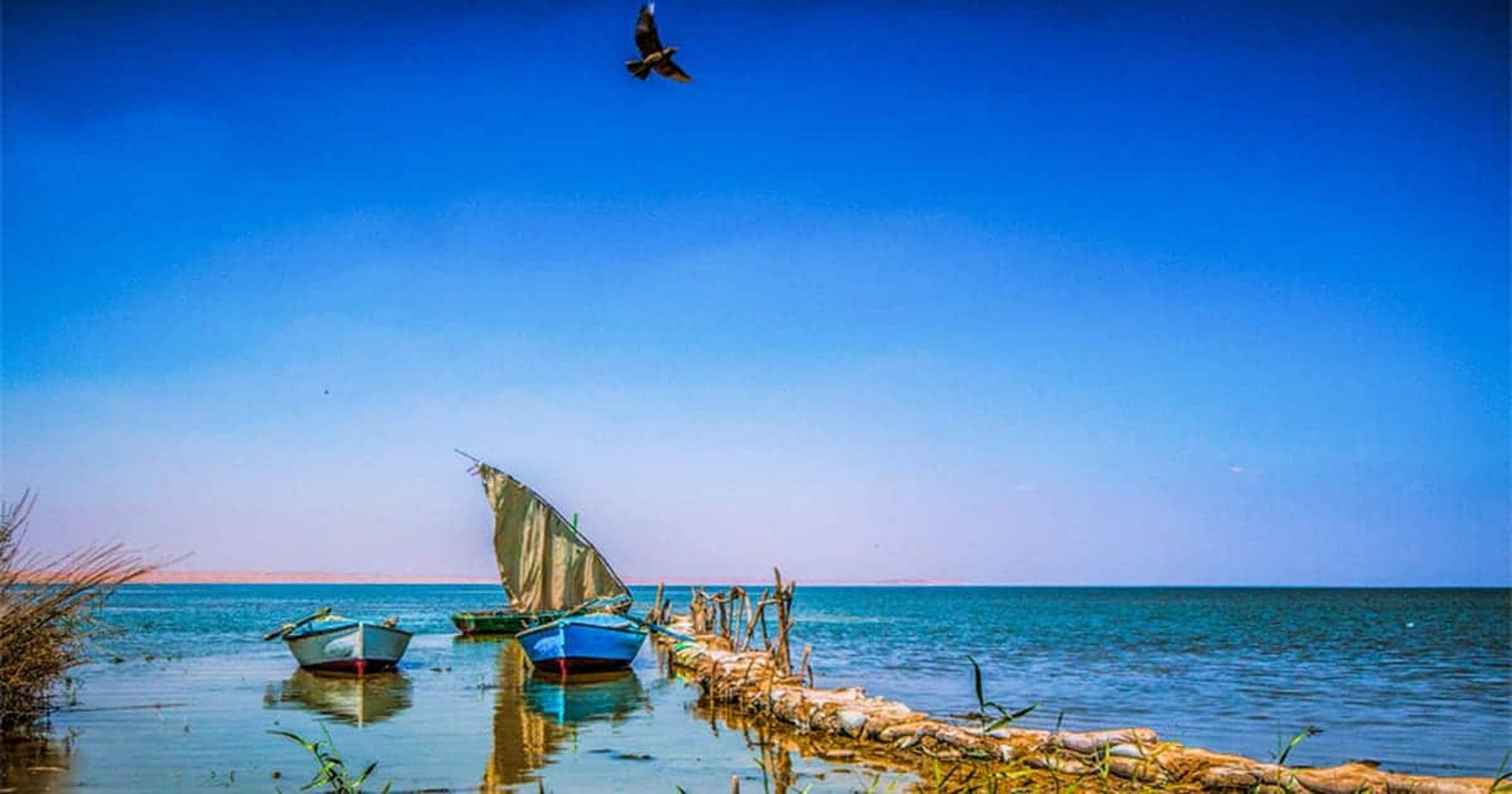 Fayoum and Wadi El Hitan from Cairo: what to expect