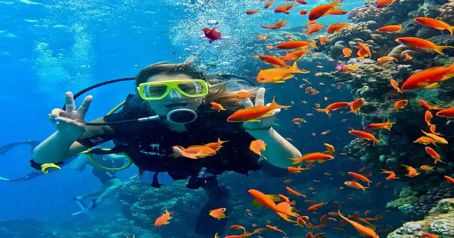 Your first scuba dive in Sharm El Sheikh: how the day goes