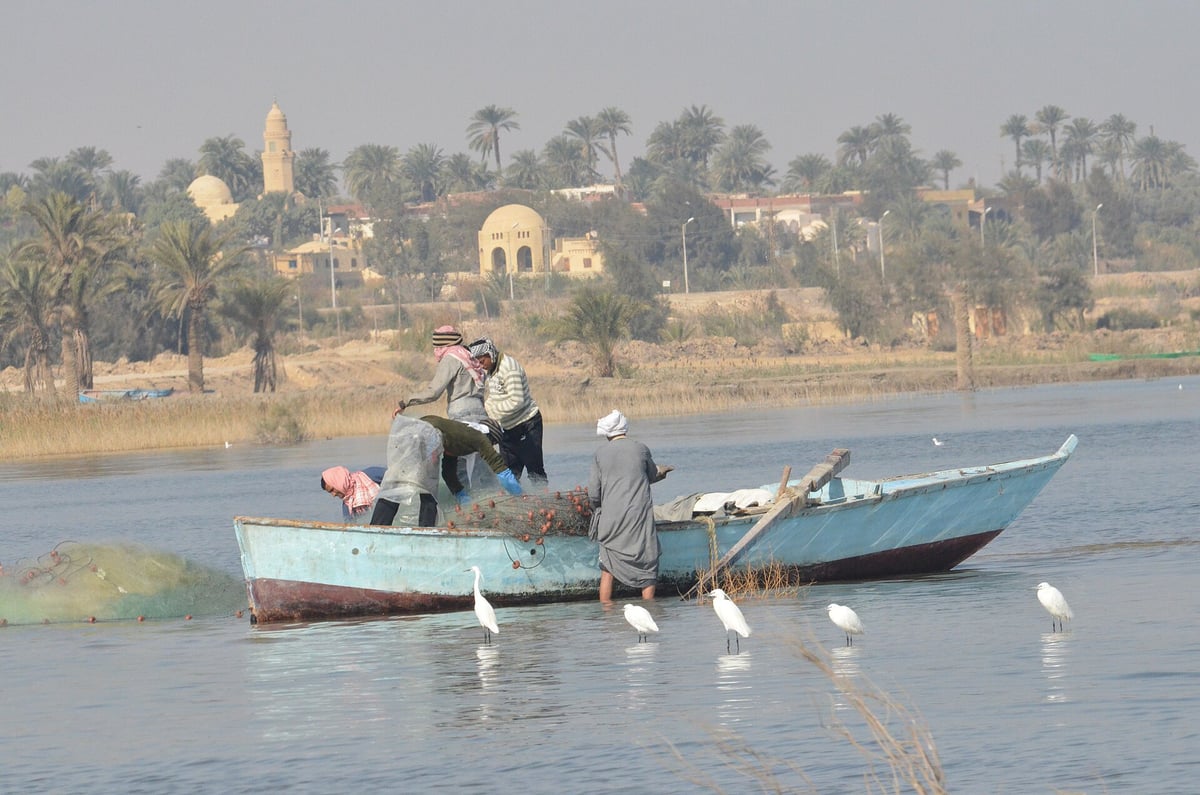 Fishermen on Lake Qarun below Tunis village. Photo: Hatem Moushir, CC BY-SA 3.0, via Wikimedia Commons