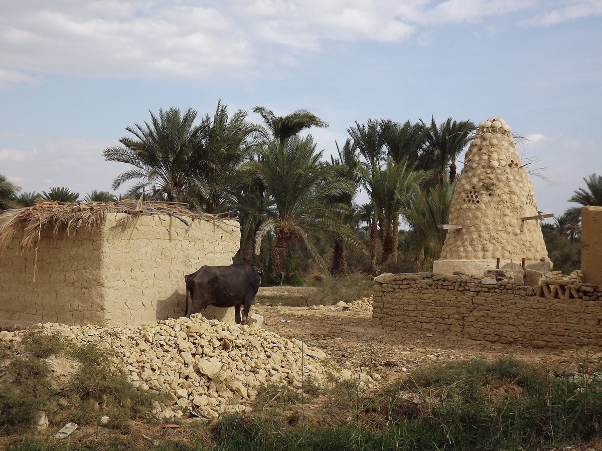 Mud-brick houses and a pigeon tower in Tunis village, Fayoum. Photo: Hatem Moushir, CC BY-SA 3.0, via Wikimedia Commons