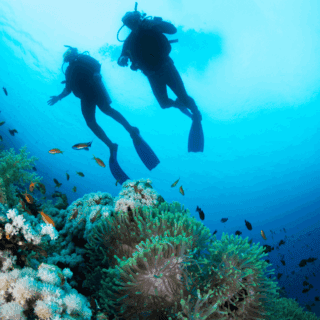 Ras Mohammed Snorkelling by Yacht from Sharm el-Sheikh – Excursion – main photograph