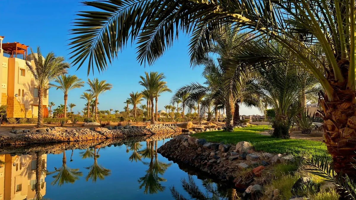 Beautiful View of Palm Trees at Sunset in Soma Bay Hurghada Egypt