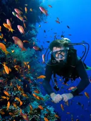 Ras Mohammed Snorkelling by Yacht from Sharm el-Sheikh – Excursion – photo 4