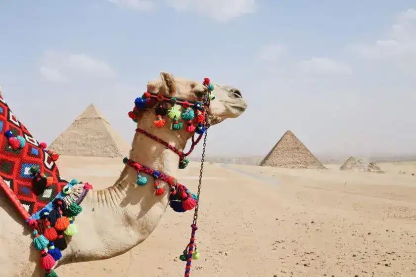 Pyramids Sound & Light Show, Giza Plateau – Excursion – photo 4
