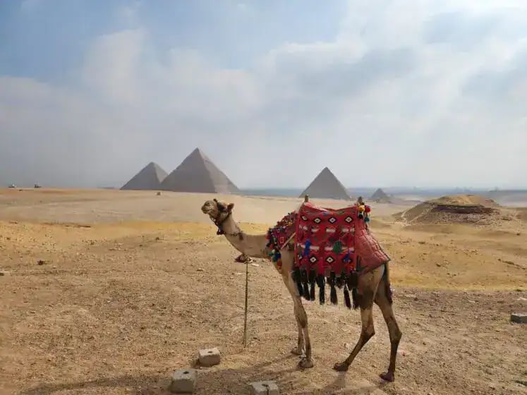 Grand Egyptian Museum Half‑Day Tour, Cairo – Excursion – photo 4