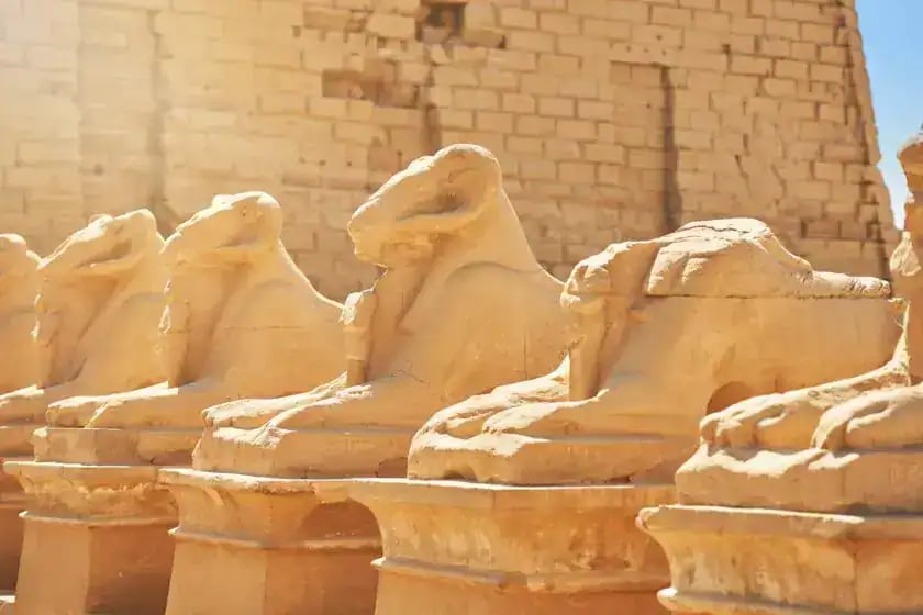 Deluxe Abu Simbel Nile Cruise – Nile Cruise Package – photo 4