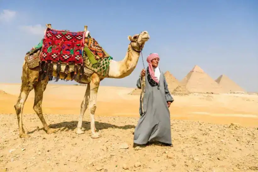 Pyramids, Sphinx & Grand Egyptian Museum – Full-Day Cairo Tour – Excursion – photo 4