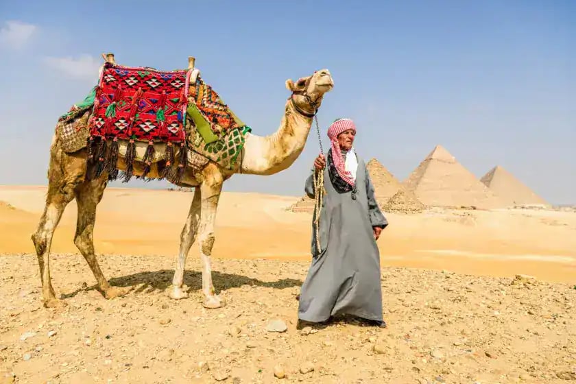 Guide with camel on Giza Plateau, Khufu, Khafre and Menkaure visible; Pyramids, Sphinx and Grand Egyptian Museum Day Tour