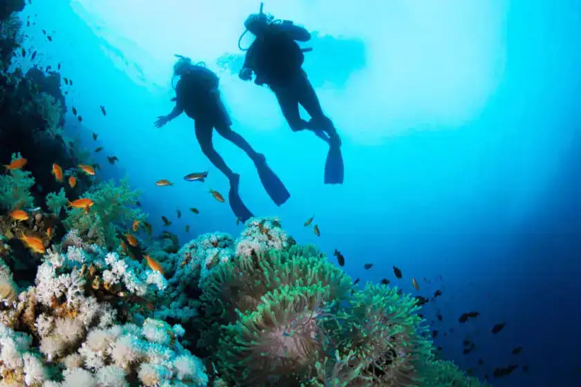 Ras Mohammed Snorkelling by Yacht from Sharm el-Sheikh – Excursion – photo 5