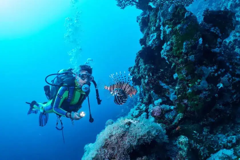 Ras Mohammed Snorkelling by Yacht from Sharm el-Sheikh – Excursion – photo 2