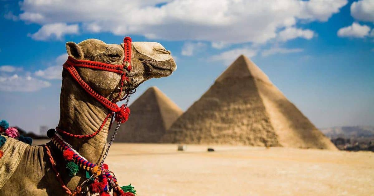 Pyramids, Sphinx and Egyptian Museum – Cairo Day Tour – Excursion – photo 5