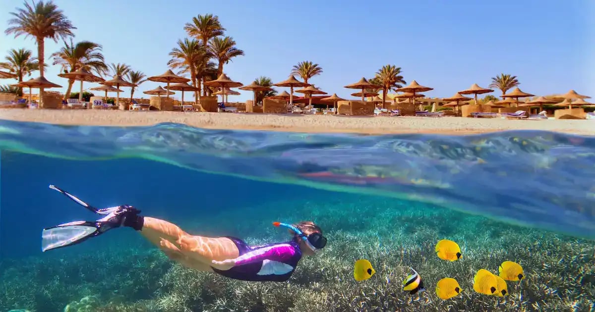 Swimmer over the reef off a Marsa Alam beach
