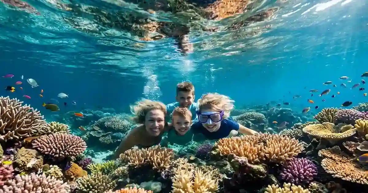 Swimmers over a Red Sea coral reef