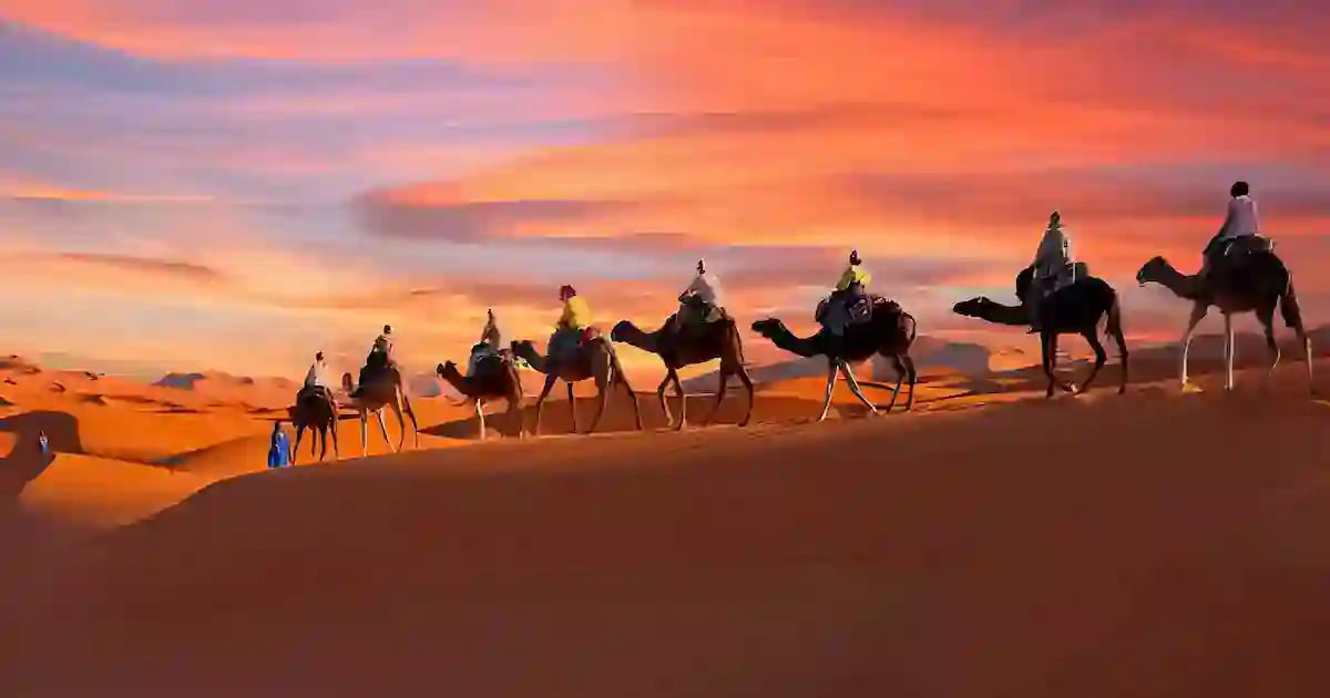 Camel ride in the Egyptian desert