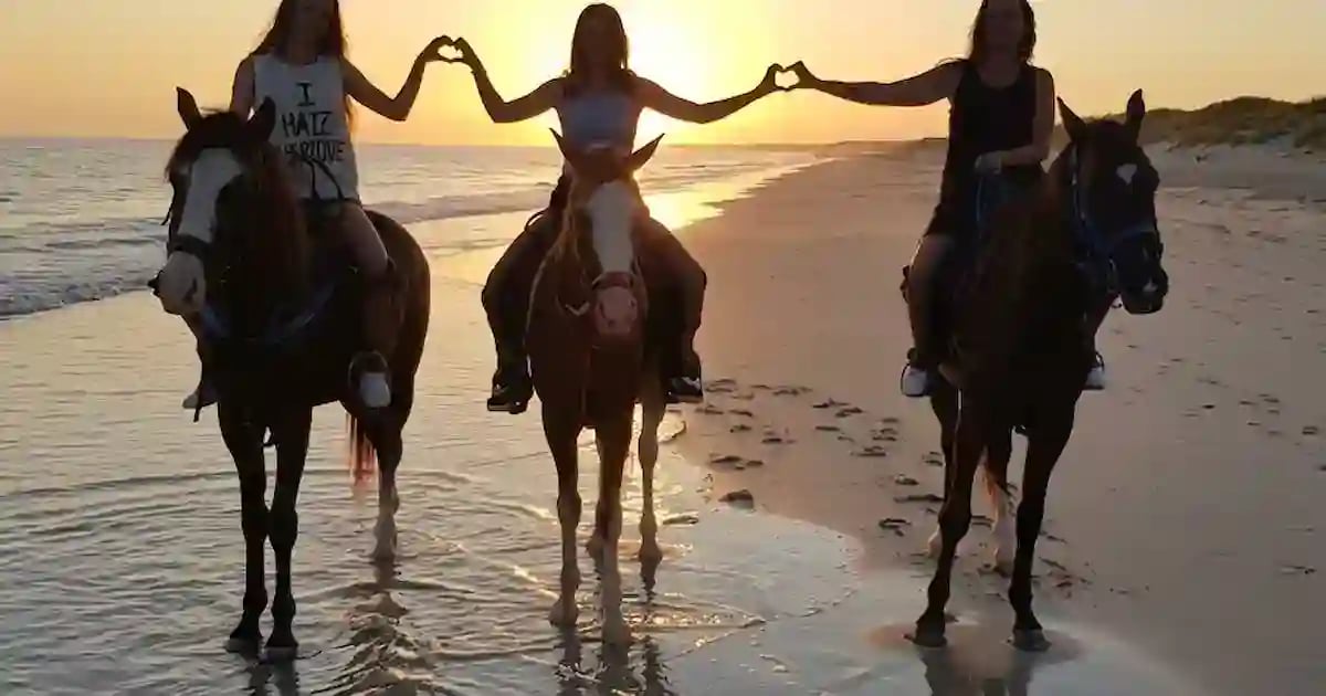Meeting the horse before a desert ride