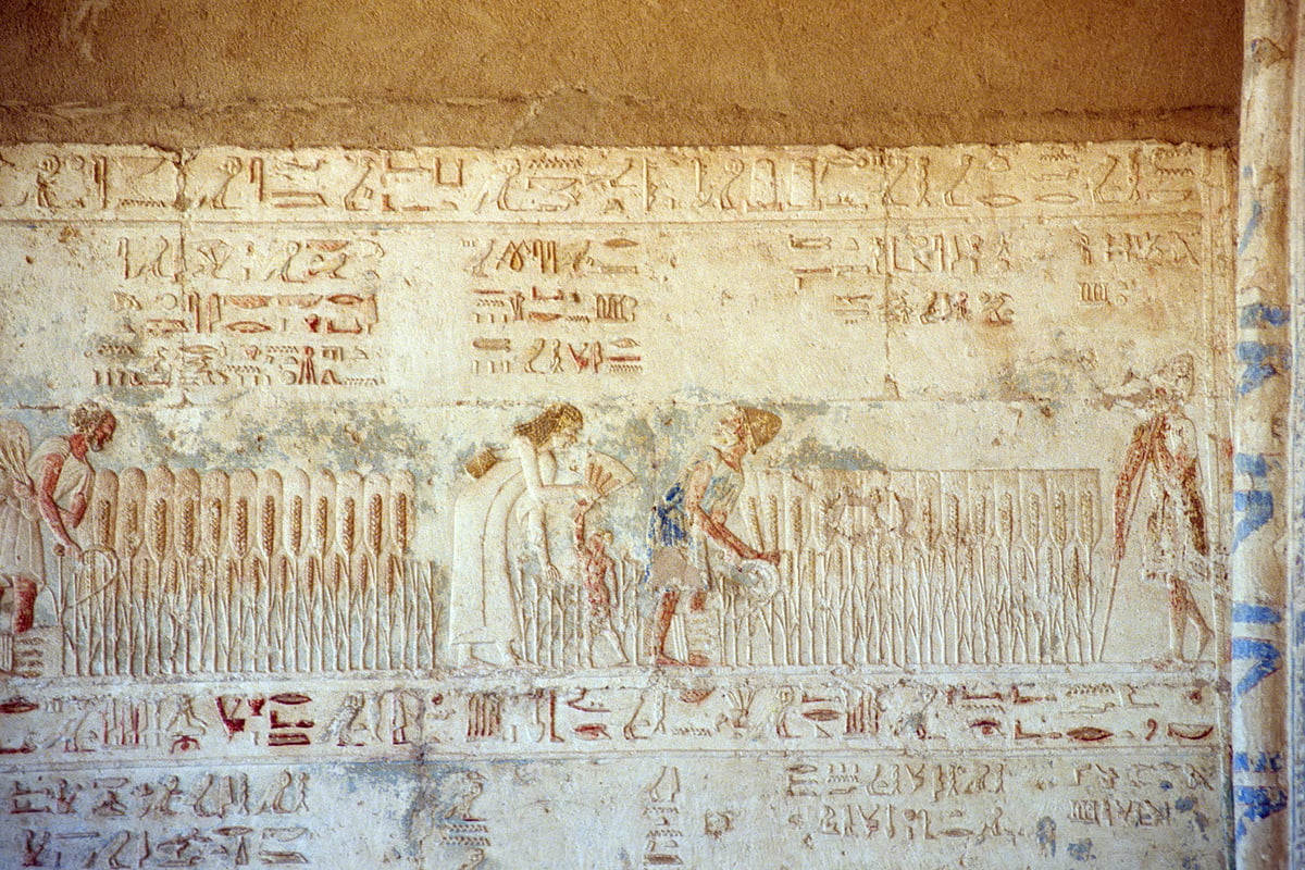 Tuna el-Gebel, tomb of Petosiris, pronaos reliefs. Photo: Roland Unger, CC BY-SA 3.0, via Wikimedia Commons