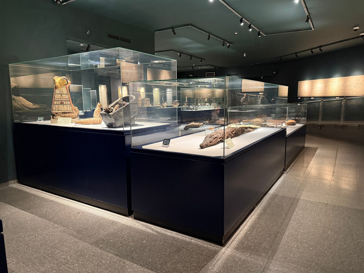Mummification Museum, Luxor, display hall. Photo: Chabe01, CC BY-SA 4.0, via Wikimedia Commons