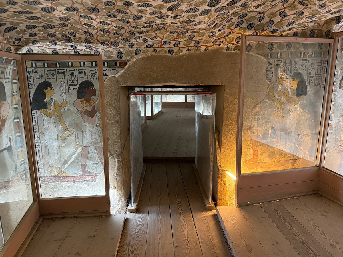 Tomb of Sennefer (TT96), burial chamber with vine ceiling. Photo: Chabe01, CC BY-SA 4.0, via Wikimedia Commons