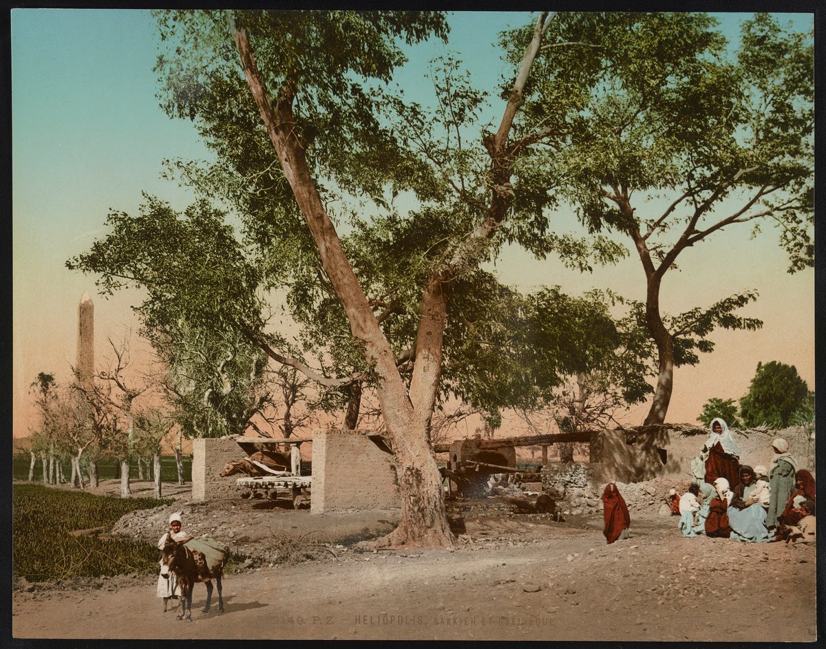 Heliopolis obelisk and waterwheel, 1890 photochrom. Photo: Photoglob Co., publisher, PUBLIC DOMAIN, via Wikimedia Commons