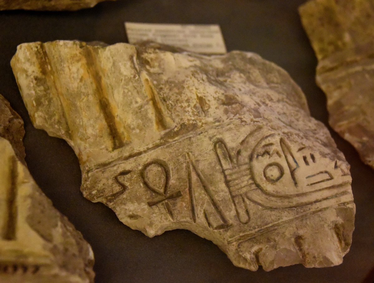 Amarna Archaeological Area Entry Ticket – Attraction – photo 3