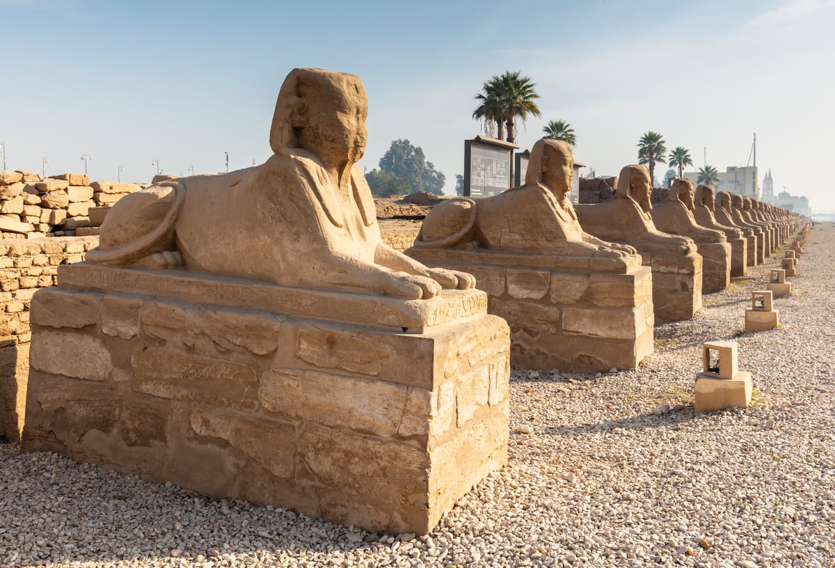 Karnak Temple Sound & Light Show (Luxor) – Excursion – photo 3