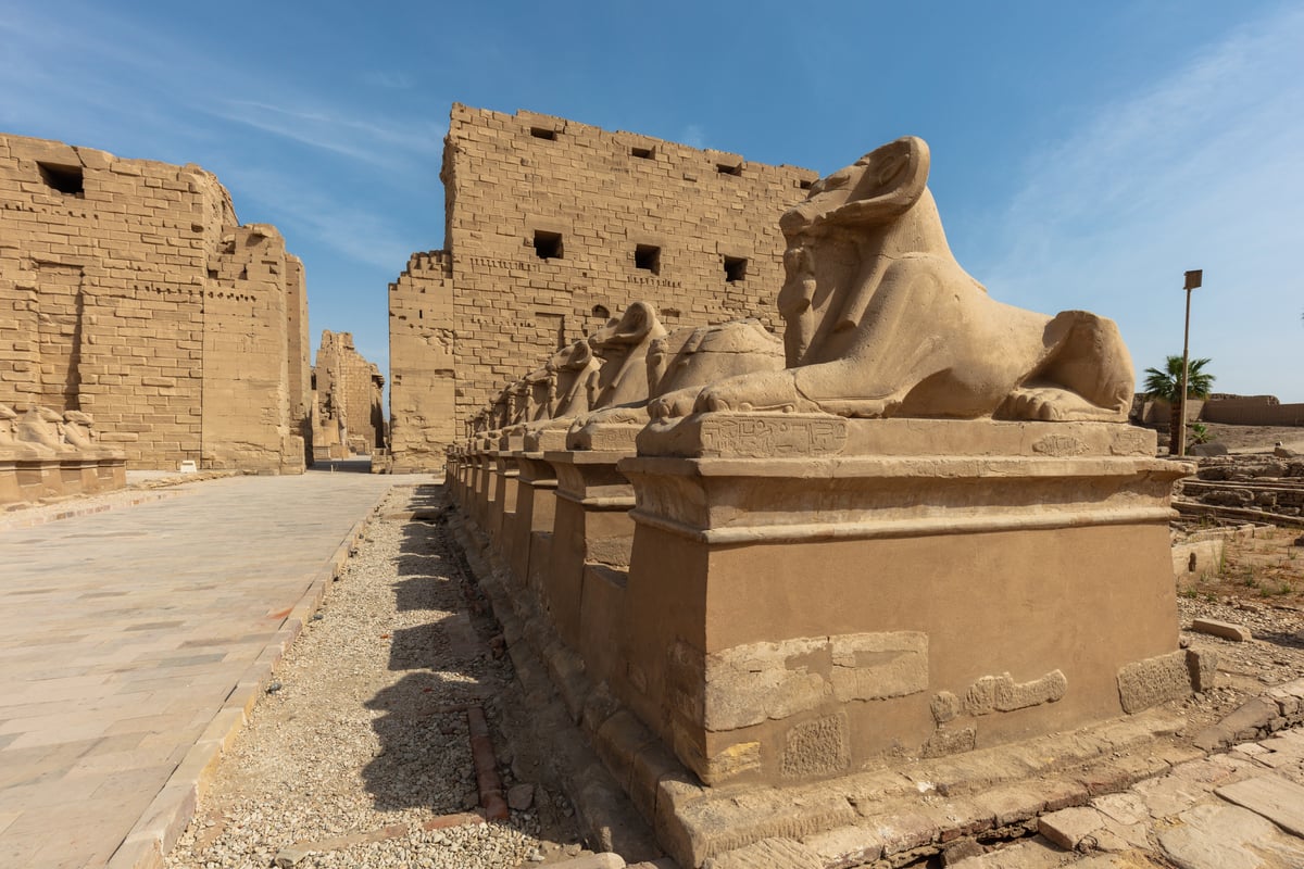 Karnak Temple Sound & Light Show (Luxor) – Excursion – photo 4
