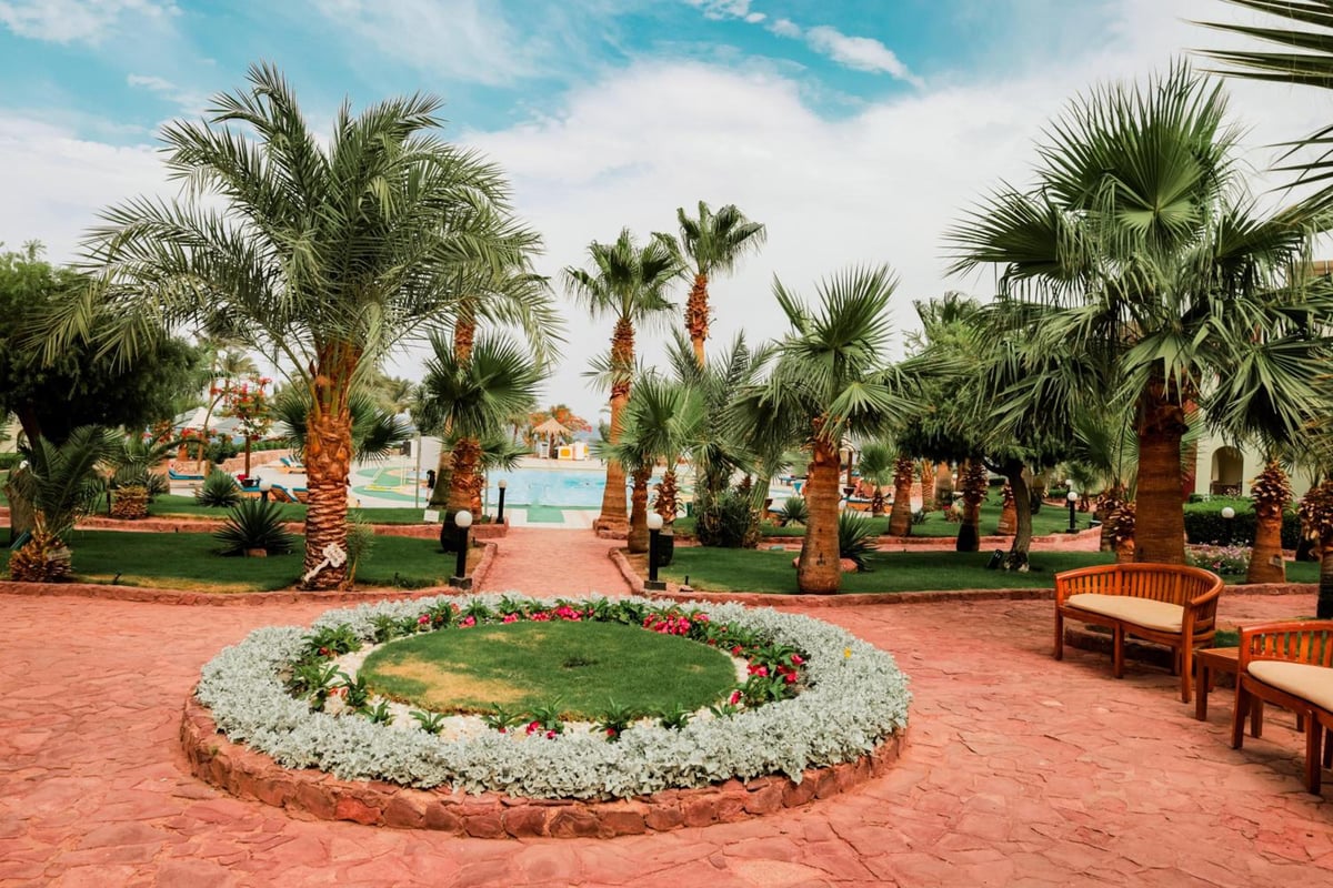 Tropitel Dahab Oasis garden courtyard with palm trees and a circular flower bed.