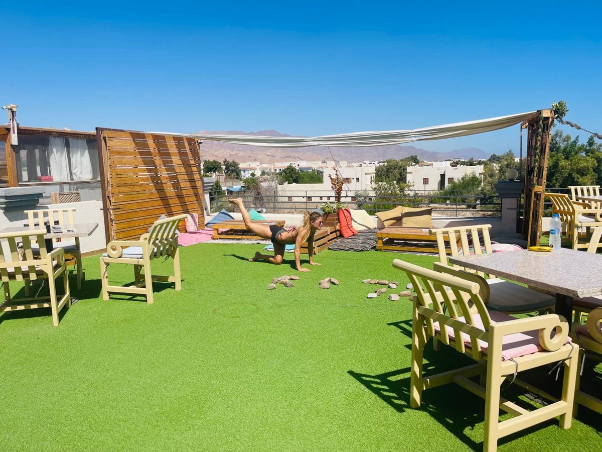 Swiss Royal Dahab sun deck with green turf and a shade canopy.
