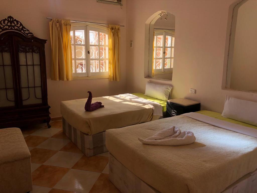 Nile Castle Luxor twin bedroom with two beds and an arched mirror.