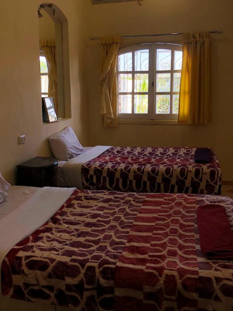 Nile Castle Luxor twin bedroom with two beds and an arched window.