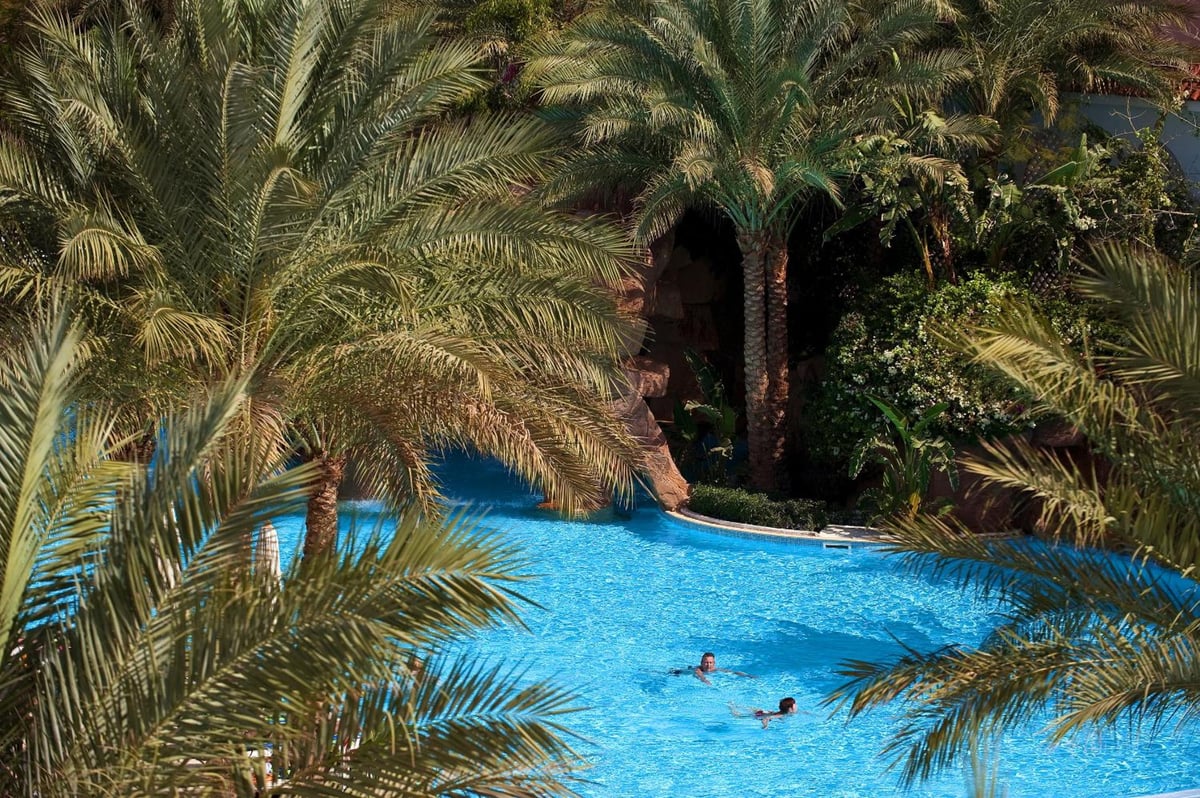 Baron Palms Resort (Adults Only) pool with blue water and palm trees.