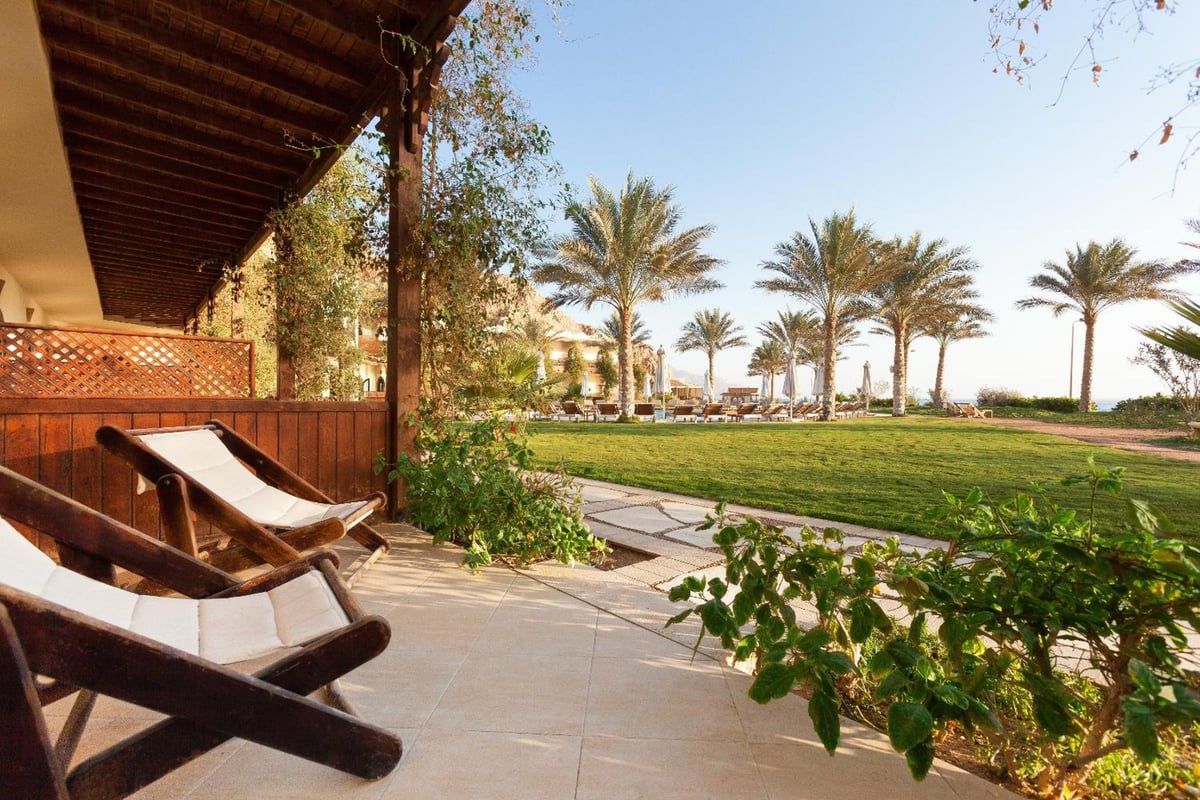 Dahab Paradise terrace with wooden loungers and a palm-lined lawn.