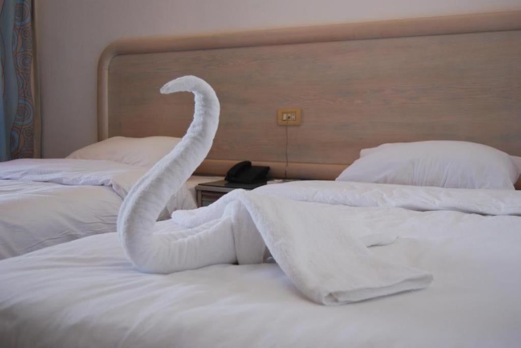 Acacia Dahab Hotel twin bedroom with white bedding and a wooden headboard.