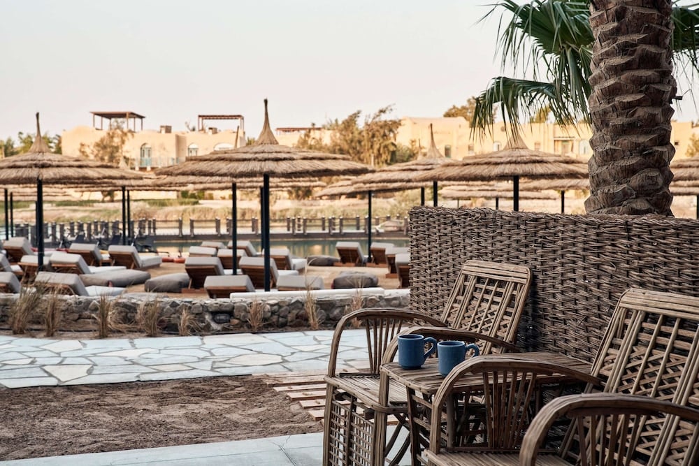 Cook's Club El Gouna (Adults Only) outdoor lounge with wicker chairs and thatched canopies.