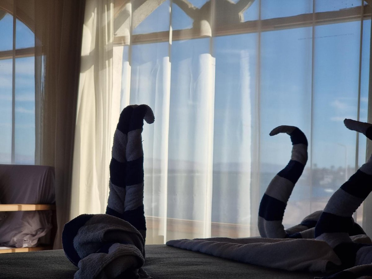 The Bedouin Moon Hotel Dahab guest room with a bed and large curtained windows.