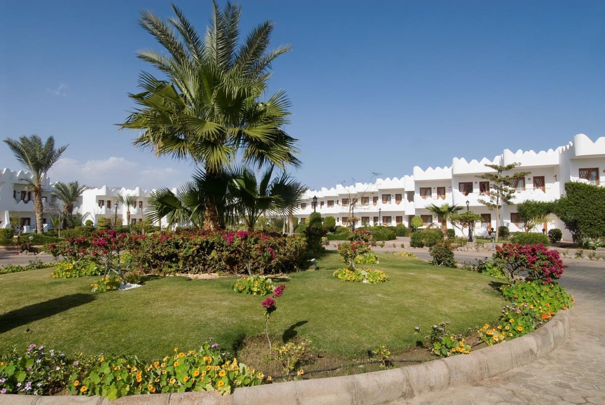 Swiss Inn Resort Dahab garden with a palm tree and flower beds.