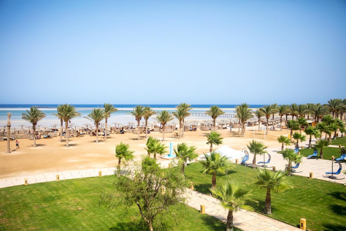 Casa Mare Resort Marsa Alam resort grounds with palm trees and a sandy beach.