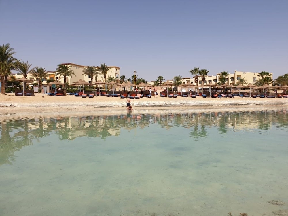 Blue Reef Marsa Alam beach with shallow water and palm trees.