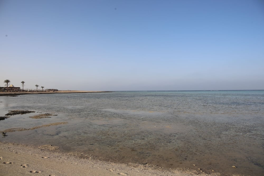 Laguna Beach Marsa Resort shoreline with shallow water and a sandy, rocky shore.