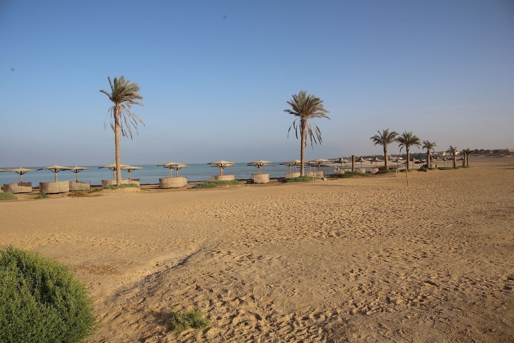 Laguna Beach Marsa Resort beach with palm trees and shade umbrellas.