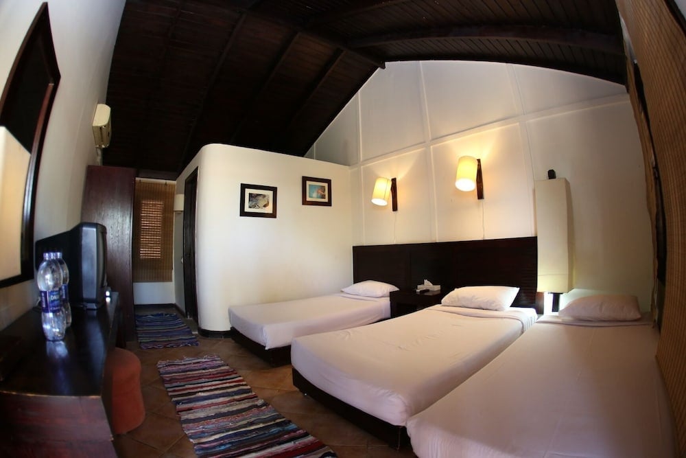 Abu Dabbab Lodge guest room with three single beds and a dark wood ceiling.