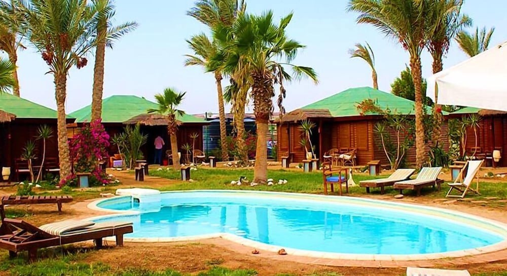 Abu Dabbab Lodge pool area with palm trees and bungalows.