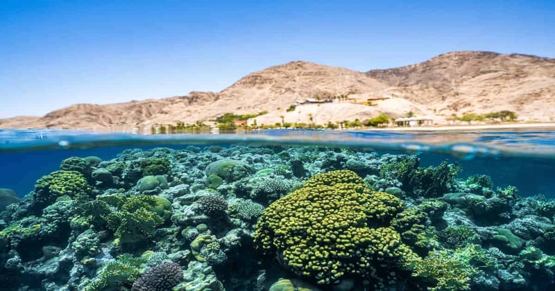 El Quseir Old Town Tour from Marsa Alam – Ottoman Fort, Old Port & Market