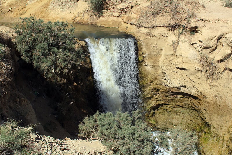 Fayoum Oasis and Wadi El Rayan Day Trip from Cairo