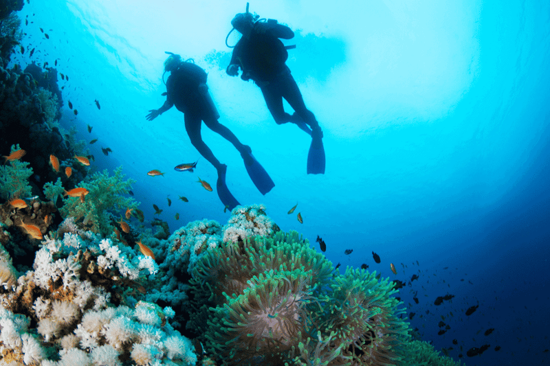 Ras Mohammed Snorkeling by Yacht from Sharm el-Sheikh