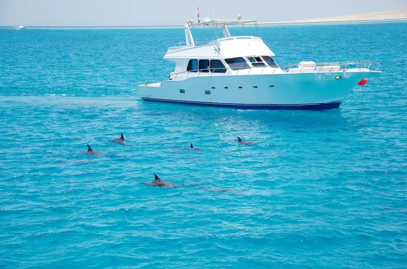 Samadai Dolphin House from Marsa Alam – Boat & Snorkeling